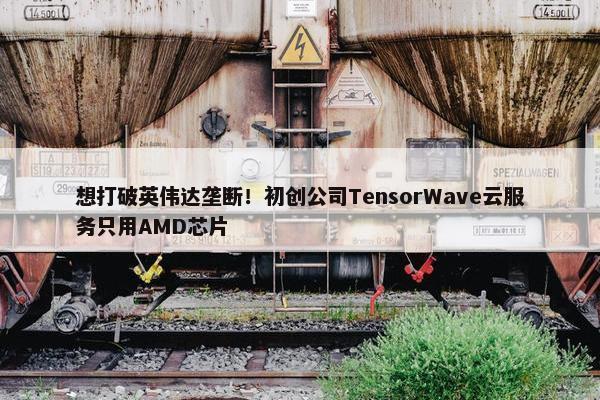 想打破英伟达垄断！初创公司TensorWave云服务只用AMD芯片