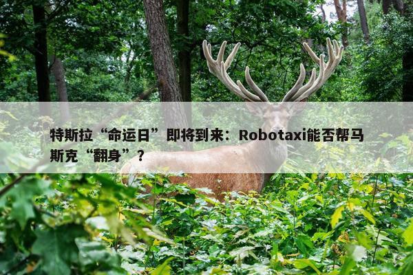 特斯拉“命运日”即将到来：Robotaxi能否帮马斯克“翻身”？