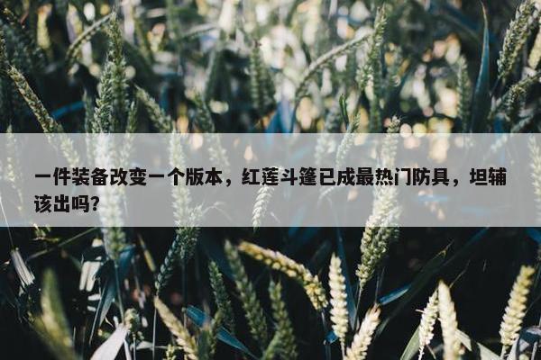 一件装备改变一个版本，红莲斗篷已成最热门防具，坦辅该出吗？