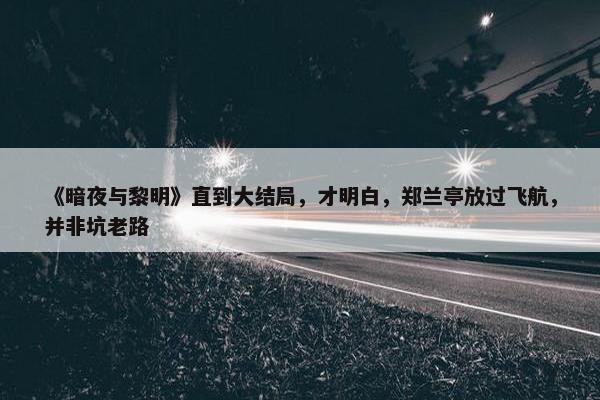 《暗夜与黎明》直到大结局，才明白，郑兰亭放过飞航，并非坑老路