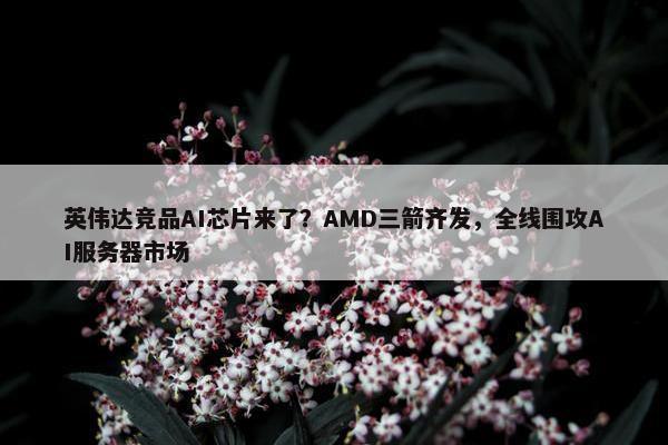 英伟达竞品AI芯片来了？AMD三箭齐发，全线围攻AI服务器市场