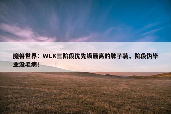 魔兽世界：WLK三阶段优先级最高的牌子装，阶段伪毕业没毛病！