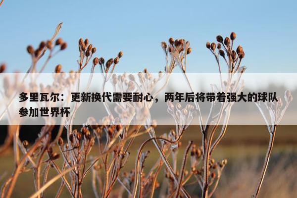 多里瓦尔：更新换代需要耐心，两年后将带着强大的球队参加世界杯