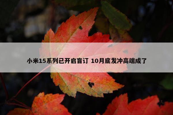 小米15系列已开启盲订 10月底发冲高端成了