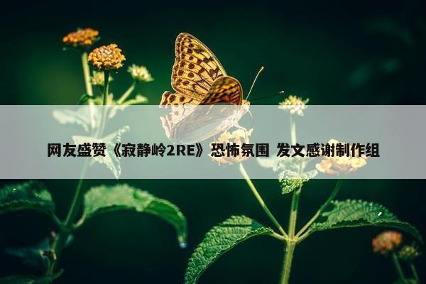 网友盛赞《寂静岭2RE》恐怖氛围 发文感谢制作组