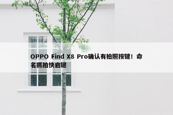 OPPO Find X8 Pro确认有拍照按键！命名抓拍快启键