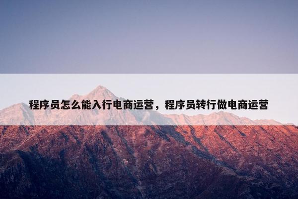 程序员怎么能入行电商运营，程序员转行做电商运营