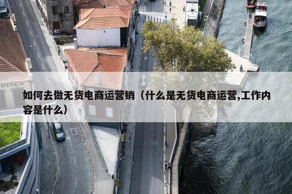 如何去做无货电商运营销（什么是无货电商运营,工作内容是什么）