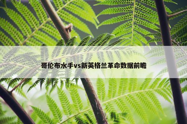 哥伦布水手vs新英格兰革命数据前瞻