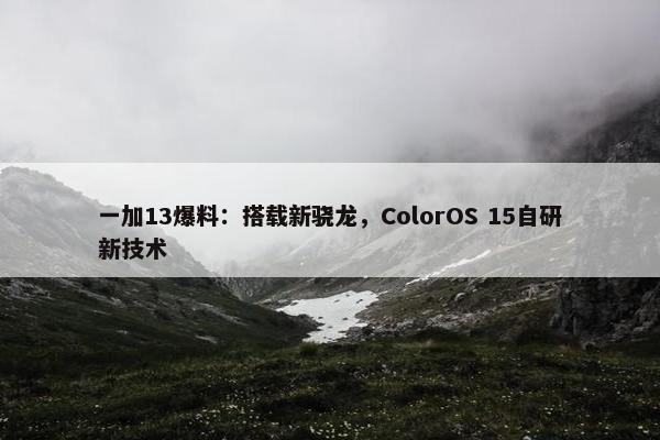 一加13爆料：搭载新骁龙，ColorOS 15自研新技术