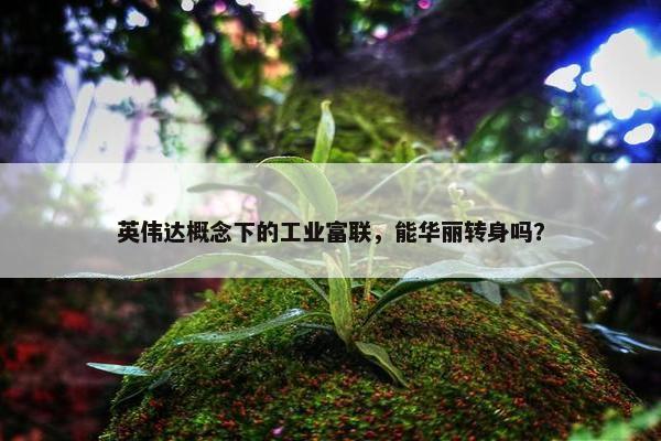 英伟达概念下的工业富联，能华丽转身吗？