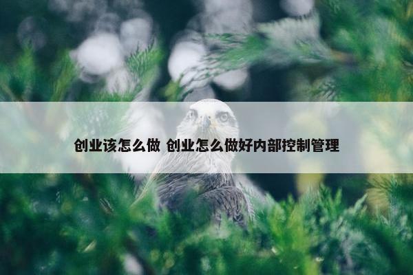 创业该怎么做 创业怎么做好内部控制管理