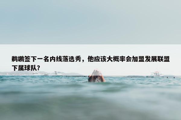 鹈鹕签下一名内线落选秀，他应该大概率会加盟发展联盟下属球队？