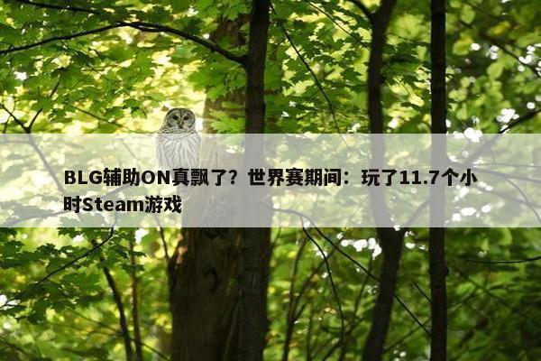 BLG辅助ON真飘了？世界赛期间：玩了11.7个小时Steam游戏