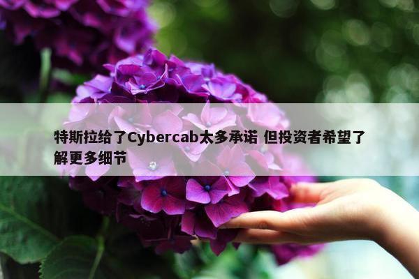 特斯拉给了Cybercab太多承诺 但投资者希望了解更多细节