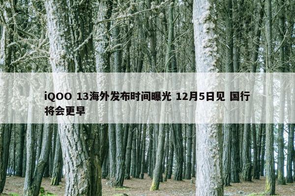 iQOO 13海外发布时间曝光 12月5日见 国行将会更早