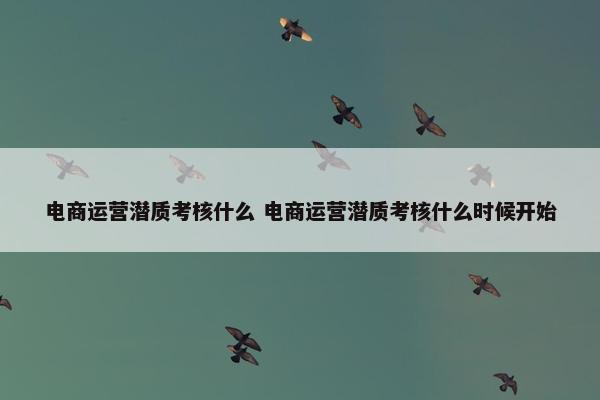 电商运营潜质考核什么 电商运营潜质考核什么时候开始