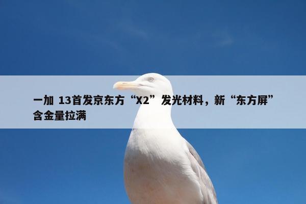 一加 13首发京东方“X2”发光材料，新“东方屏”含金量拉满