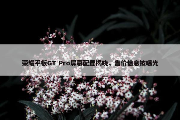 荣耀平板GT Pro屏幕配置揭晓，售价信息被曝光