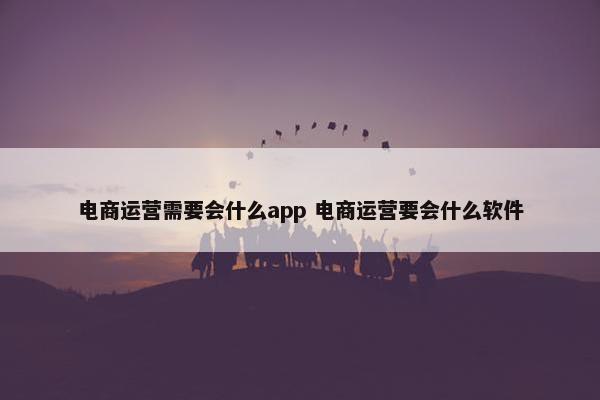 电商运营需要会什么app 电商运营要会什么软件