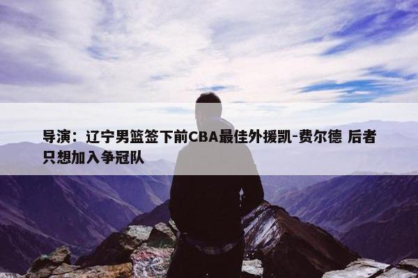 导演：辽宁男篮签下前CBA最佳外援凯-费尔德 后者只想加入争冠队