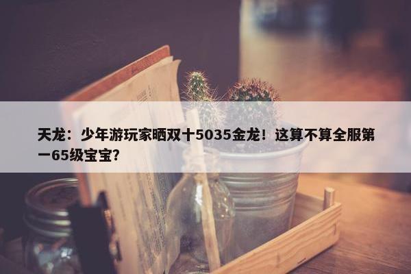 天龙：少年游玩家晒双十5035金龙！这算不算全服第一65级宝宝？