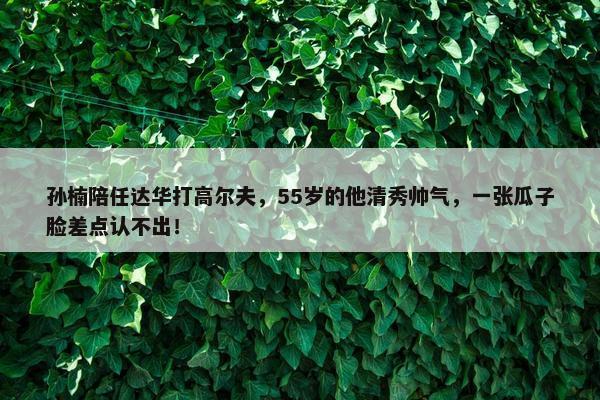 孙楠陪任达华打高尔夫，55岁的他清秀帅气，一张瓜子脸差点认不出！