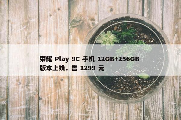 荣耀 Play 9C 手机 12GB+256GB 版本上线，售 1299 元