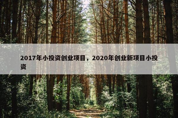 2017年小投资创业项目，2020年创业新项目小投资