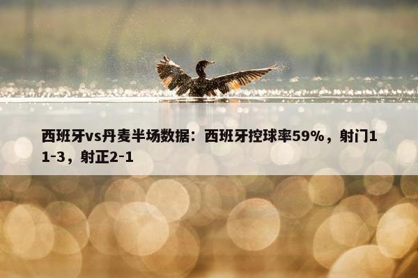 西班牙vs丹麦半场数据：西班牙控球率59%，射门11-3，射正2-1