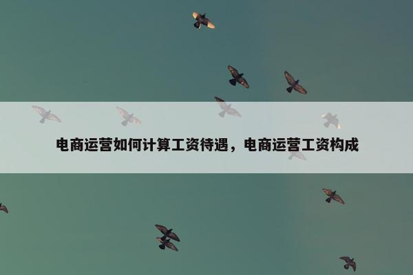 电商运营如何计算工资待遇，电商运营工资构成