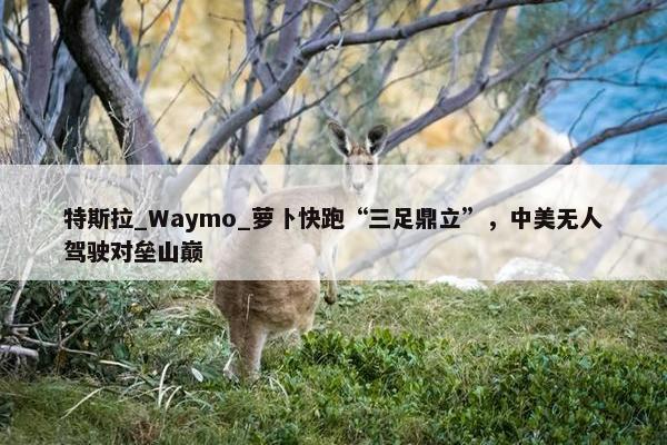 特斯拉_Waymo_萝卜快跑“三足鼎立”，中美无人驾驶对垒山巅