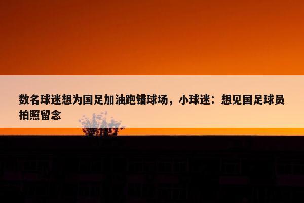 数名球迷想为国足加油跑错球场，小球迷：想见国足球员拍照留念