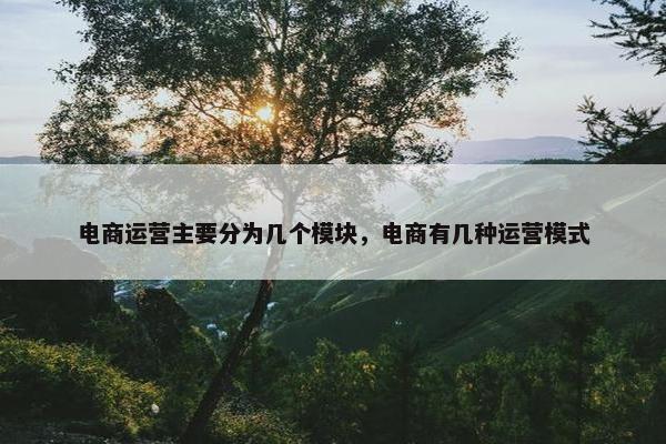 电商运营主要分为几个模块，电商有几种运营模式