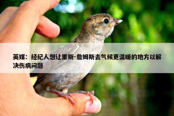 英媒：经纪人想让里斯-詹姆斯去气候更温暖的地方以解决伤病问题