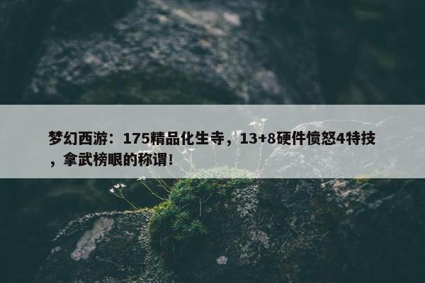 梦幻西游：175精品化生寺，13+8硬件愤怒4特技，拿武榜眼的称谓！