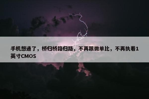 手机想通了，桥归桥路归路，不再跟微单比，不再执着1英寸CMOS