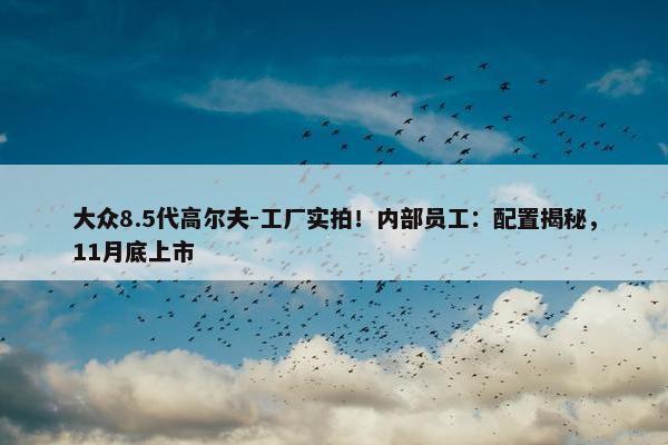 大众8.5代高尔夫-工厂实拍！内部员工：配置揭秘，11月底上市