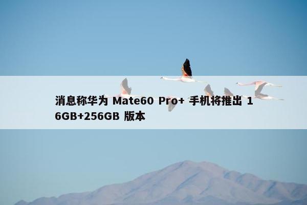 消息称华为 Mate60 Pro+ 手机将推出 16GB+256GB 版本