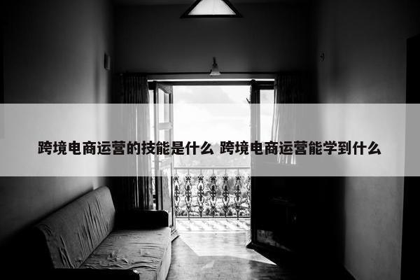 跨境电商运营的技能是什么 跨境电商运营能学到什么