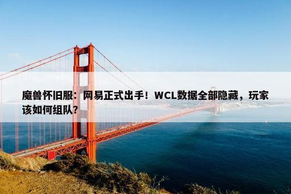 魔兽怀旧服：网易正式出手！WCL数据全部隐藏，玩家该如何组队？