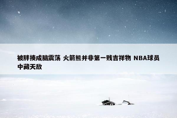 被胖揍成脑震荡 火箭熊并非第一贱吉祥物 NBA球员中藏天敌