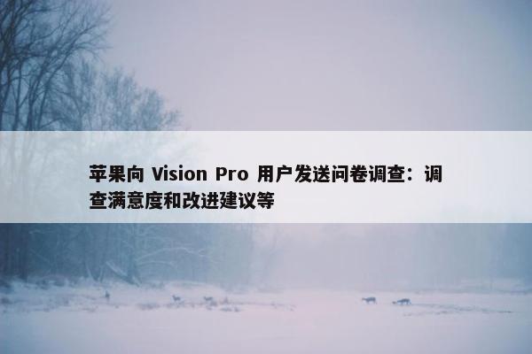 苹果向 Vision Pro 用户发送问卷调查：调查满意度和改进建议等