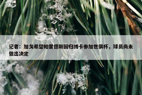 记者：加戈希望帕雷德斯回归博卡参加世俱杯，球员尚未做出决定