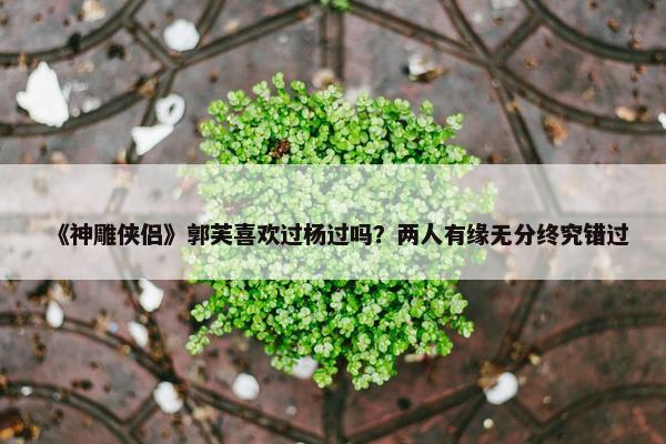 《神雕侠侣》郭芙喜欢过杨过吗？两人有缘无分终究错过