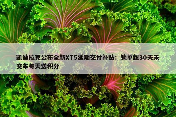 凯迪拉克公布全新XT5延期交付补贴：锁单超30天未交车每天送积分