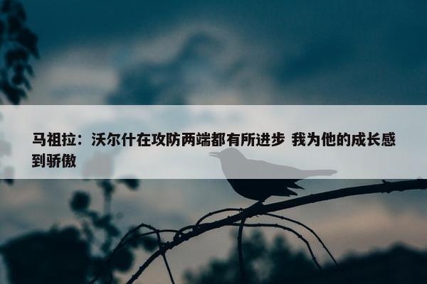 马祖拉：沃尔什在攻防两端都有所进步 我为他的成长感到骄傲