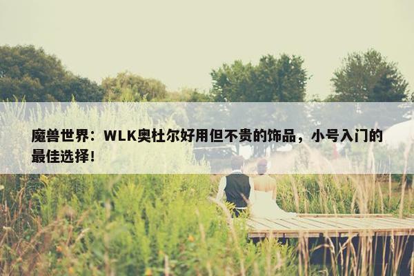 魔兽世界：WLK奥杜尔好用但不贵的饰品，小号入门的最佳选择！