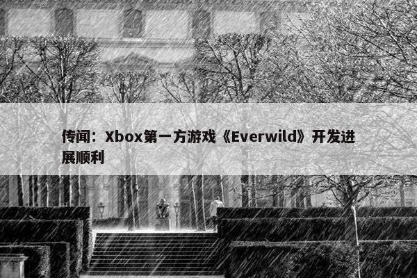 传闻：Xbox第一方游戏《Everwild》开发进展顺利