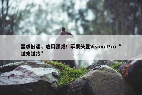 需求低迷，应用骤减！苹果头显Vision Pro“越来越冷”